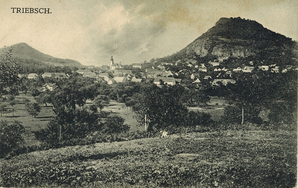 Kalich
